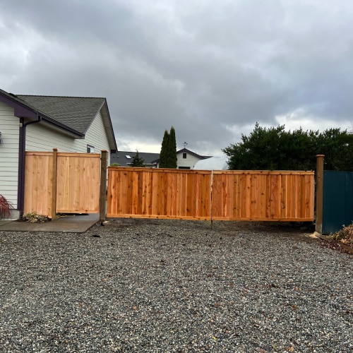 Fence Building